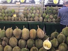 Durian time