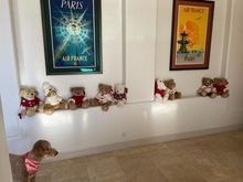 Poppy reviewing the Harrod’s Christmas Bears!