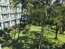 View from dining room