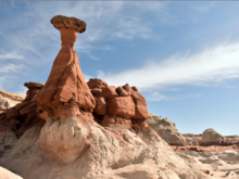 Toalstool