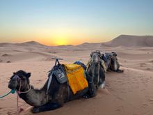 https://moroccopaths.com/