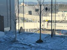 SkyDeck decorations