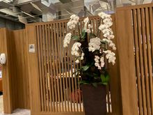 Welcome to one of many sections of the business lounge areas