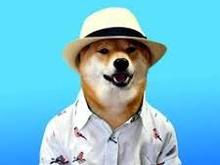Dogeman, on vacation.