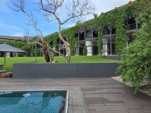 View of the pool towards the hotel, and you can see how close the ground floor rooms are