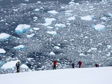 Chiriguano Bay - Antarctica