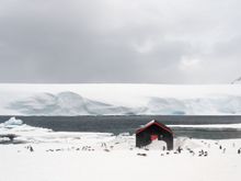 Antarctica - Port Lockroy