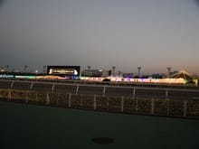 From the grandstand across the racecourse just after sunset
