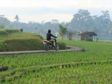 XTreme Farming