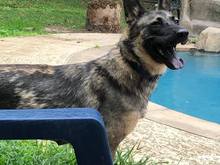 Considering the pool