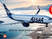 ALASKHA  AIRLINE