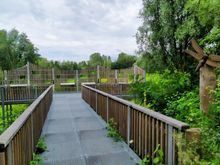 A new lookout built above the biotope reserve along the Ruhr river in Alstaden, Oberhausen 