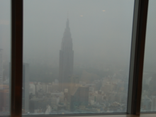 This is a portion of a photo I took from 2009.  The wire mesh can be seen on the right window.  