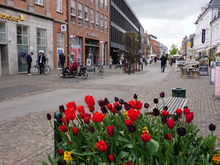 Roskilde