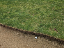 I'm standing facing where the ball should go towards the flag. You can't see it from this vantage point, but it's so plugged that I can't even play it out sideways.