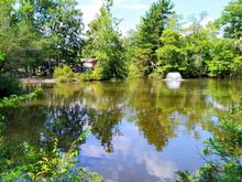 The nice lake in the Elizabeth Conservancy Park 