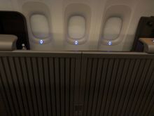 the door goes pretty high; this was taken standing in the adjacent (unoccupied) seat and you still can't see who's inside without going to the aisle. I personally think that the door is overkill functionally, but it is cool to see and elegant in its design.