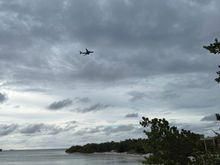 This just flew overhead 