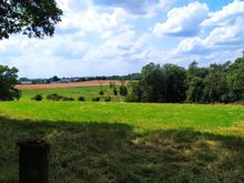 On the way through the woods to Mintard, where the big bridge across the Ruhr is (A52 Autobahn)