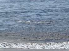 I’m sick and tired of going to Leblon beach and getting disgusted. 