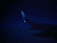 Late stage tulip wing-tip