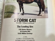 Every time I pass by the Jif Peanut Butter plant in LEX, I always think of WT Young, Storm Cat and Overbrook Farm.  This page was from the year prior to Storm Cat retiring after years of retaining that gaudy $500K stud fee that Young admitted was an obscene price but they still had a lot more demand than available covers even at that price.