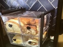The exceptional fresh supermarket breads and made to order waffles sometime ago from Sam’s Club 