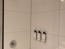 Mounted shower 