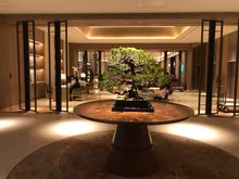 Entrance to Hilton Hiroshima