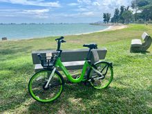 My faithful steed for the day, photographed at East Coast Park. From here there are great views of the shipping lanes, with maybe hundreds of cargo ships and tankers lurking off the shore.