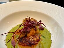 Scallops main