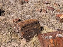 Log Rocks. 