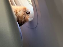Someone looking out the window during take off. 