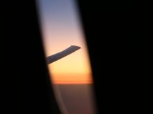 Wing view from up the front