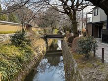 Philosophers path in Kyoto. During cherry blossom season this will will be packed with people.