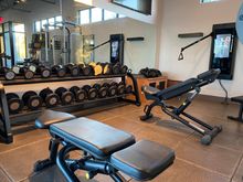 Free weights and Tonal machine