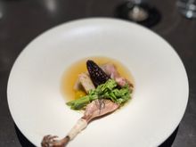Quail: omg, stuffed morrel mushroom out of the world, stuffed onion with bitter mogwart: Broth was super well balanced and not too herbal.