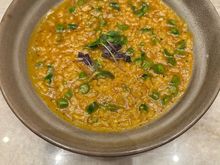 Risotto. Salty and not very filling. Would not order again.  