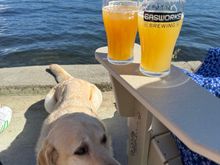 L- Splash Landing hazy IPA
R- Dance Floor hazy IPA