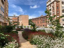 A much improvement, greening rooftops is beter than grey tiles