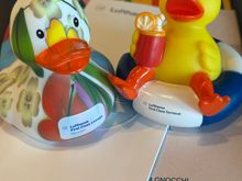 FRA FCT and MUC Satellite FCK today. 