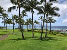 Resort Grounds