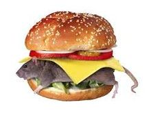BA Mouseburger: British free range mouse, a lovingly seeded sesame roll, Isle of Wight tomato, heritage red onion slices, and dill pickle, accompanied by twice-cooked chips. Ask your host if you would like to add crispy back bacon or mature English Cheddar.