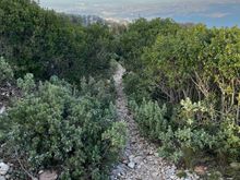 Not the path down!