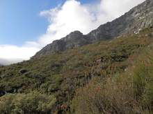 The view to our left, as we climbed, was much clearer, though we did see some table top (tablecloth?) clouds