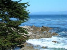 Pacific Grove rocks and surf