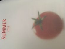 summer_menu