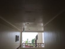 Ceiling repairs