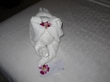 Towel origami at turndown