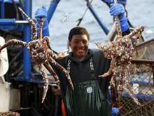 Winston Crab Catch